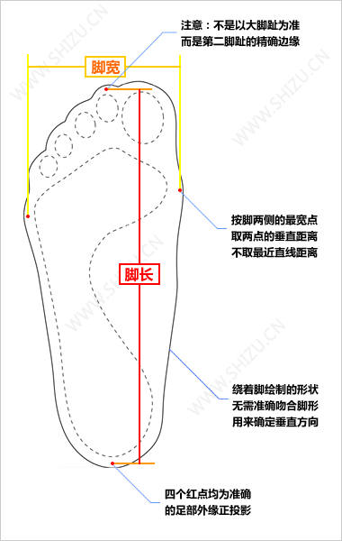 男鞋尺码对照表 中国美国韩国欧洲鞋尺码图