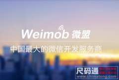 微盟weimob平台官网介绍及新闻

