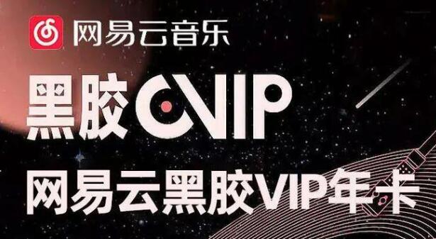 VIP会员