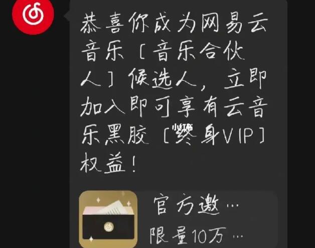 网易云音乐黑胶VIP价格