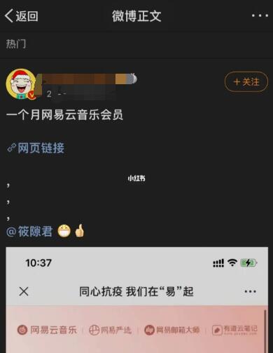 一个月的价格