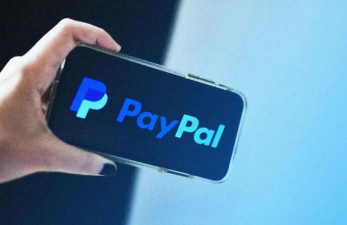 Paypal风险评估